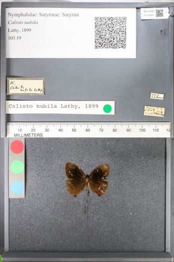 Media type: image;   Entomology 102821